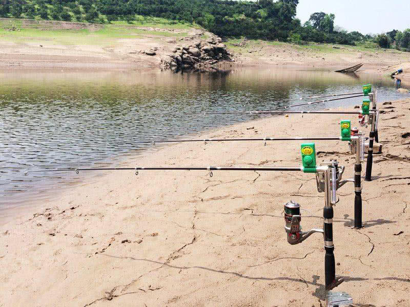 槌￠奔鍜岃崏楸煎摢涓姏姘斿ぇ,鑽夐奔璺熼场楸煎摢涓姏姘斿ぇ