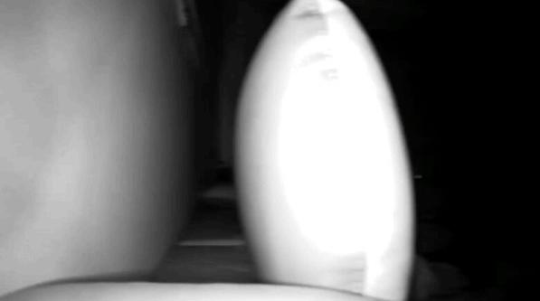 西部数据监控紫卡32G+雄迈云台智能摄像机，家庭安全监控组合体验