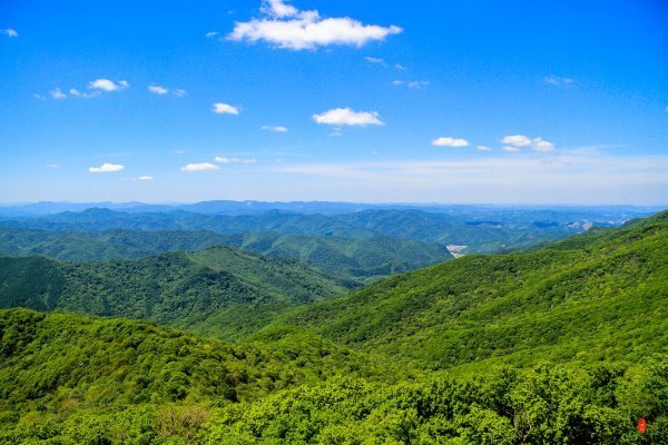 抚顺攻略,抚顺深度游攻略游记