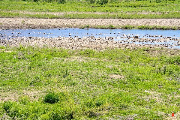 抚顺攻略,抚顺深度游攻略游记