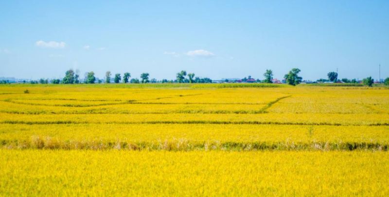 一带一路，如何在他们手里变成共享之路绿色之路爱心之路？