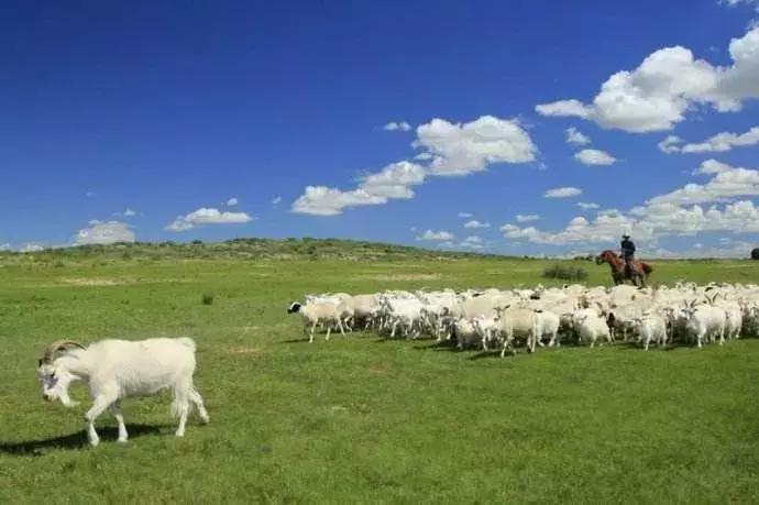 有关数学的励志小故事,生活中的数学小故事50个简短