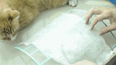 淘宝有哪些让你醍醐灌顶的好物,淘宝品质好物推荐是不是真的