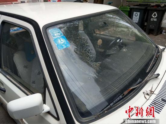 城市僵尸车归哪个部门管,僵尸车占用公共资源怎么处理