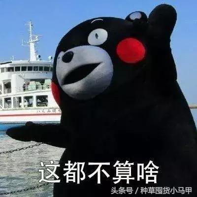 比nars还贵的粉饼,比nars还便宜的化妆品牌