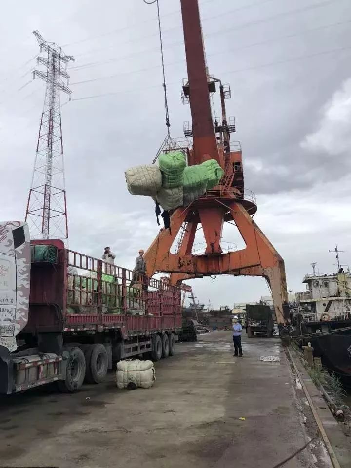 恶心！数百吨韩国人扔掉的衣服在中国被截！你淘来的名牌货，可能暗藏各种细菌