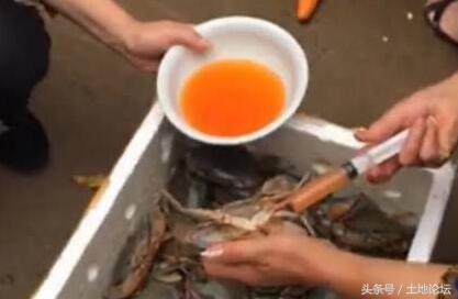 真实的蟹黄是什么样,人工蟹黄和真的有什么区别