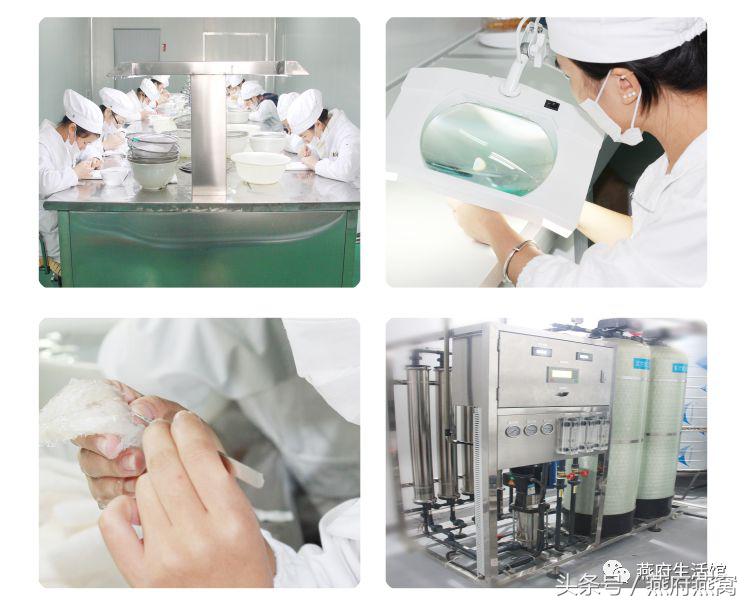 好燕窝是什么做的,好燕窝炖出来什么效果