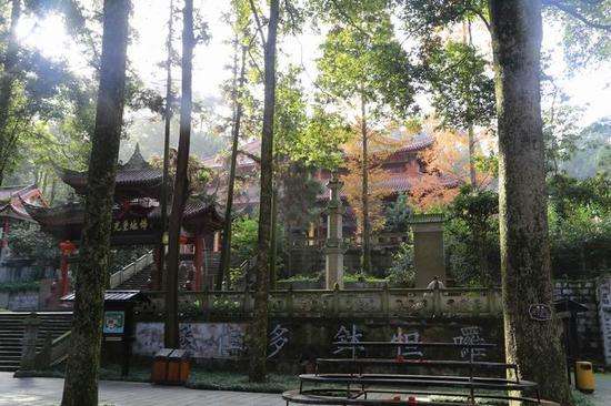 怎么给大熊猫和小熊猫取名,150秒看懂大熊猫起名那些事儿