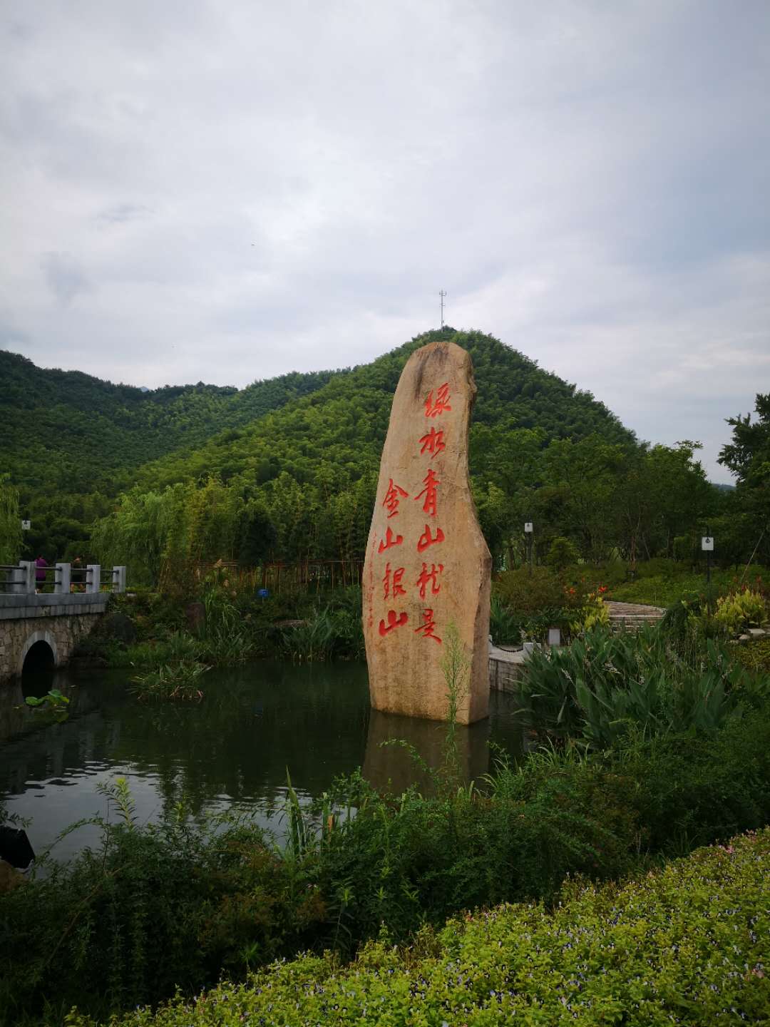 一汽-大众公益重点在这里：用金山银山守护绿水青山