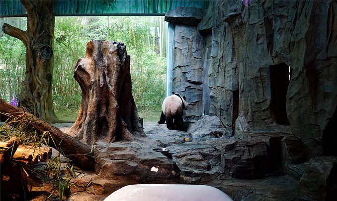 带小孩去长隆欢乐世界畅玩一天,暑假带娃去广州长隆野生动物世界