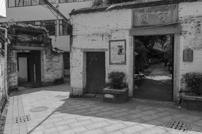 画笔下的舟山美景,画笔下的风景