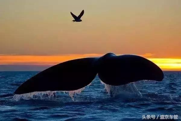 免签证海岛游,不需要签证的4个小时的海岛