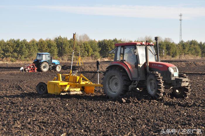 水稻田改种旱田最适合种什么,水田改旱田种什么作物好