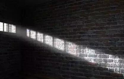 全身瘫软……鹤壁娃吞防撞角差点没命；农民工可网上免费读郑大本科