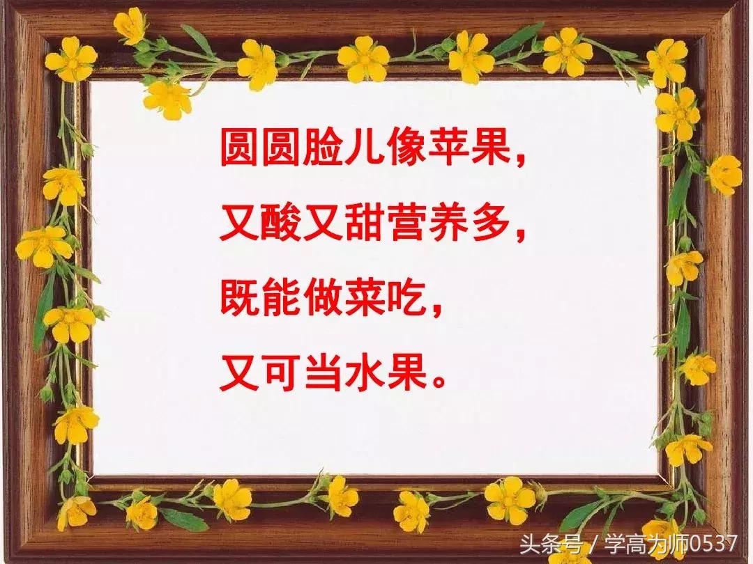 我最喜欢的一件物品五年级作文,五年级上册介绍一件物品作文