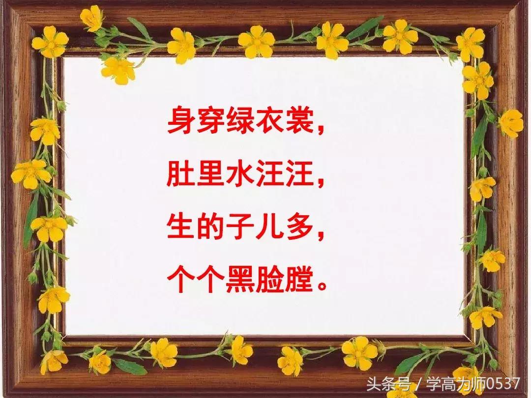 我最喜欢的一件物品五年级作文,五年级上册介绍一件物品作文