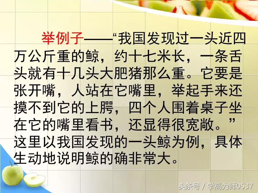 我最喜欢的一件物品五年级作文,五年级上册介绍一件物品作文