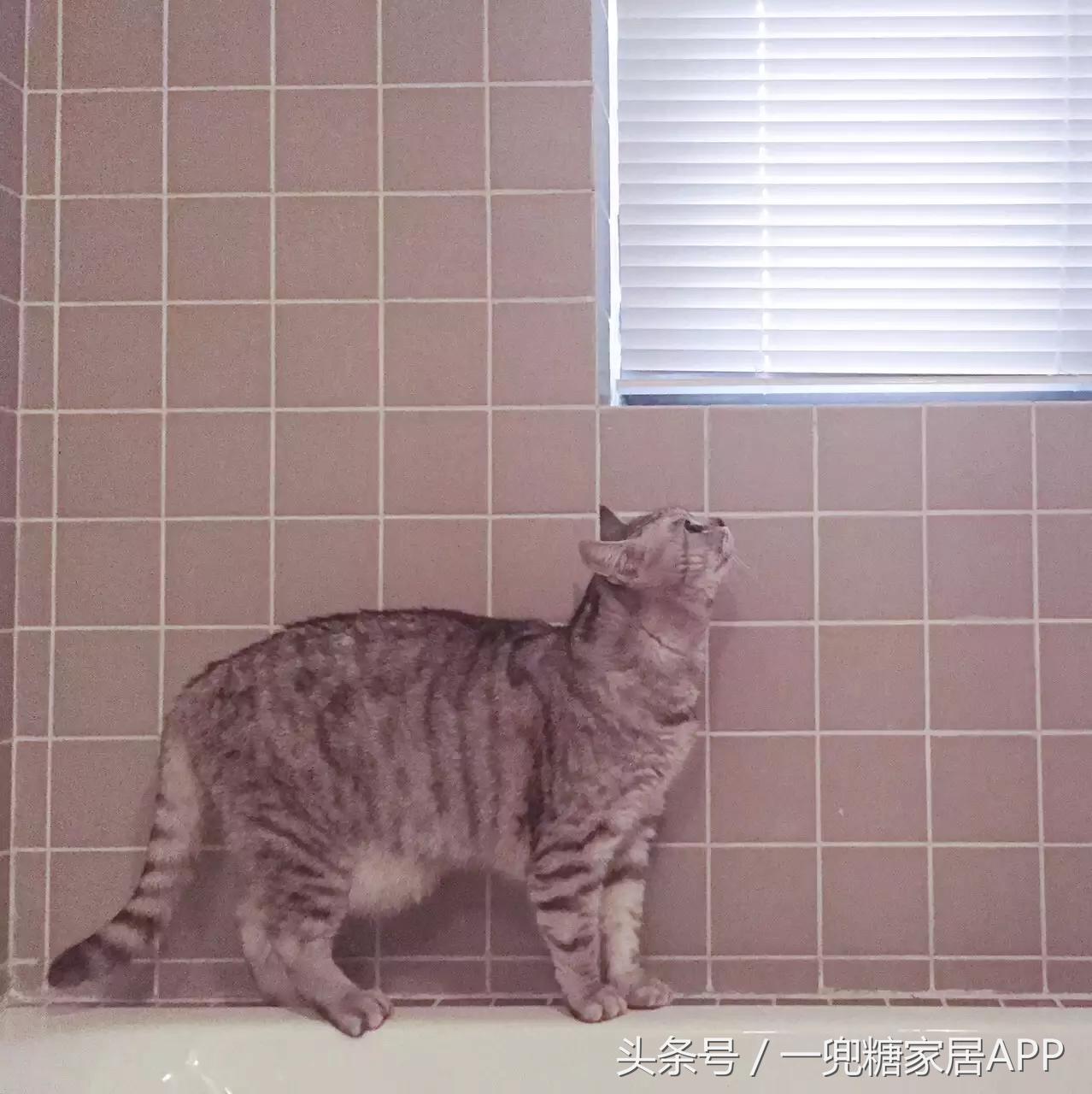 断舍离老公，遇上囤物癖老婆，装出这么正宗的日式小家要掐架吧！