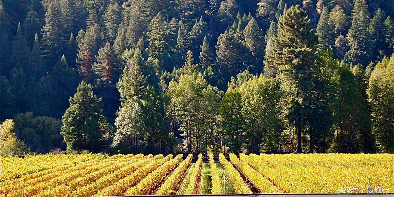 畅游加州：12个酒乡目的地，爱酒的你一定可以找到最适合你的酒乡