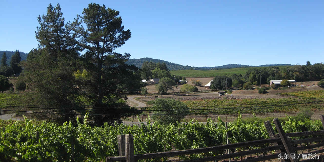 畅游加州：12个酒乡目的地，爱酒的你一定可以找到最适合你的酒乡