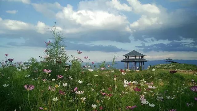 下一站溆浦南站,下一站怀化南站