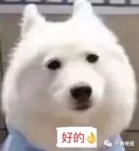 山东省青岛市2022年度平均工资,17年青岛的工资