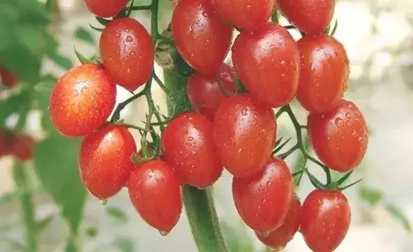 海岛避暑亲子游好去处,亲子夏日度假之旅