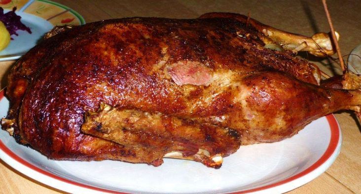 这个夏天，剧透网友和女朋友……