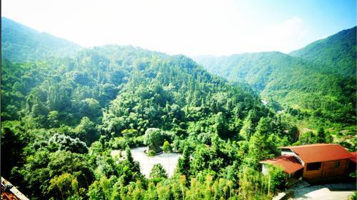 中国茶都，藤铁工艺之乡，—安溪