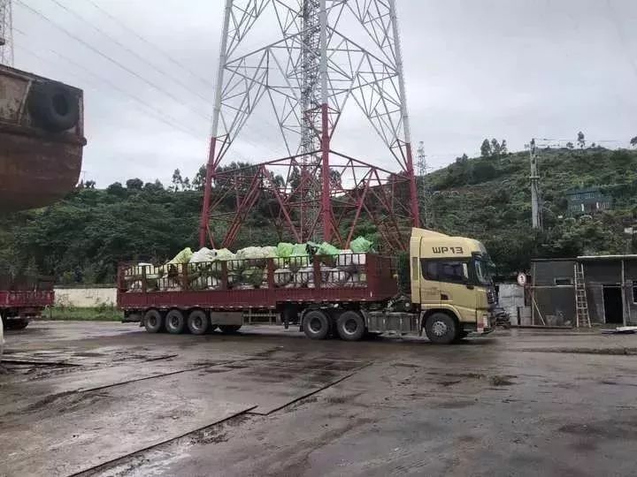 洋垃圾被海关查获,1万吨洋垃圾退运出境