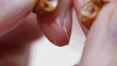 鱿鱼、鱼骨粒……LOHAS编辑部为什么吃零食吃到停不下来？