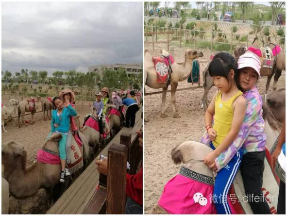 大连亲子团旅行社,大连非凡国际旅行社