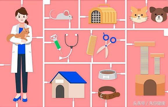 弓形虫是细菌感染吗,弓形虫是寄生虫吗