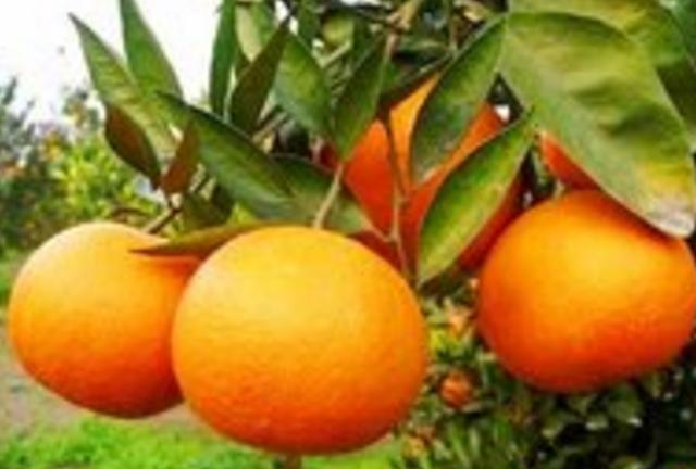 周公解梦：梦到这些场景，预示你将要过上富裕生活，令人羡慕！