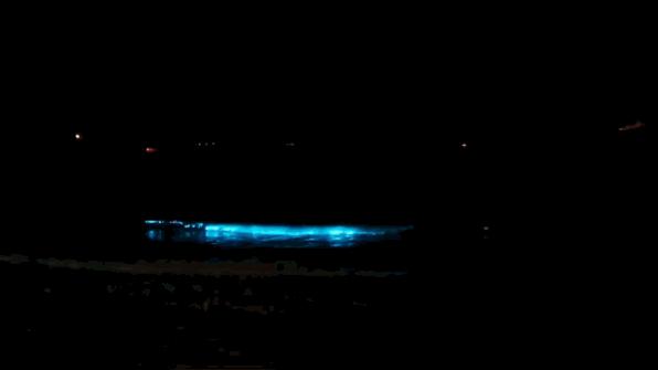 江浙沪皖民宿2-3天短途旅游,江浙沪可以在房间钓鱼的民宿