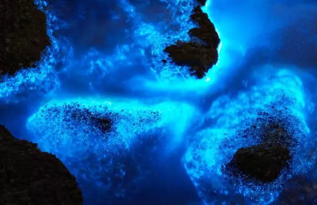 江浙沪皖民宿2-3天短途旅游,江浙沪可以在房间钓鱼的民宿