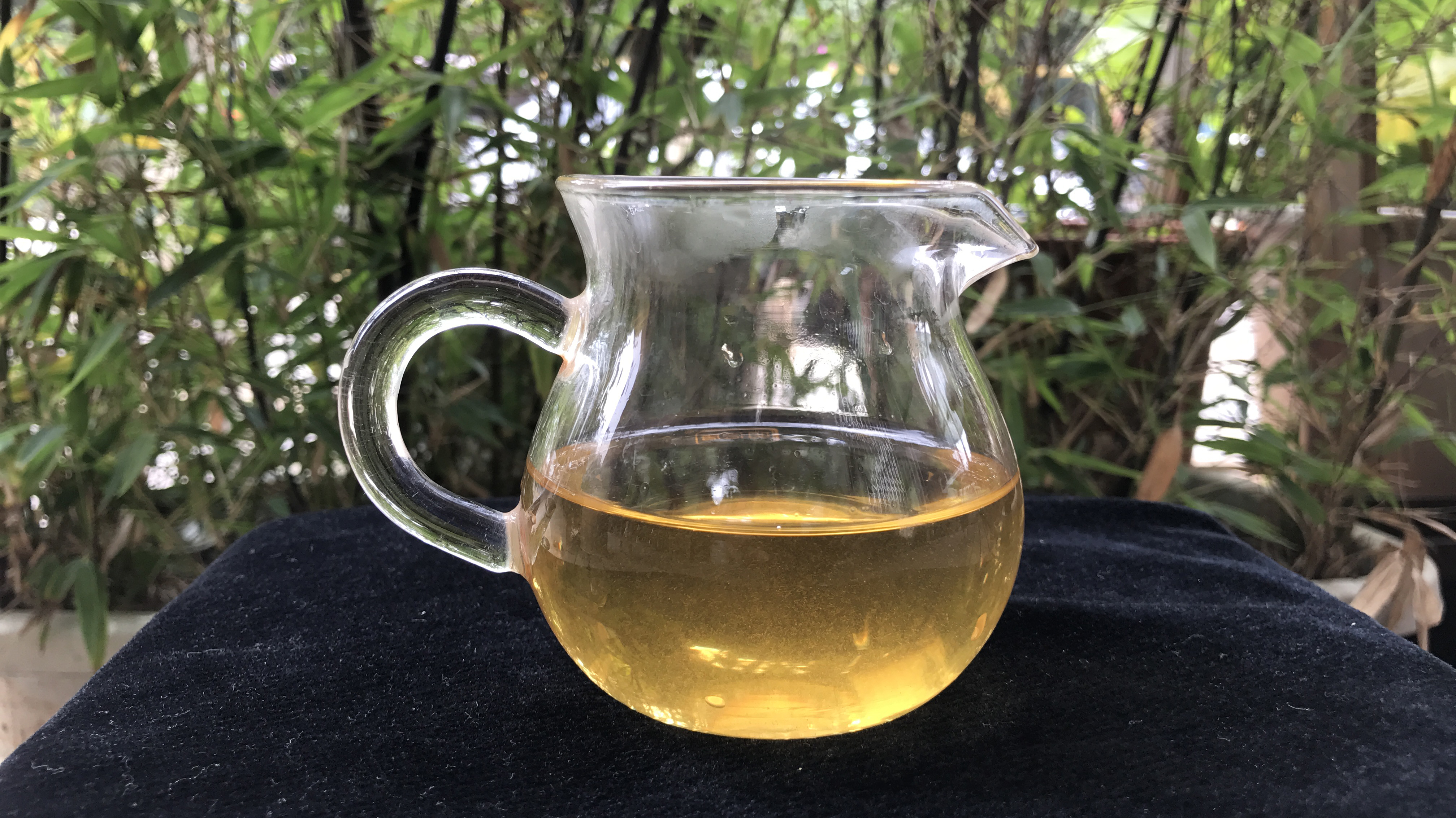老徐鉴茶第173期,老徐鉴茶252期