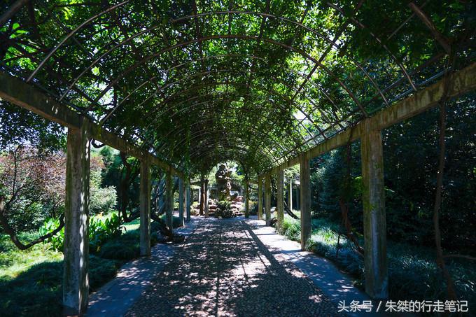 无锡禅意旅游攻略,必去禅意之旅