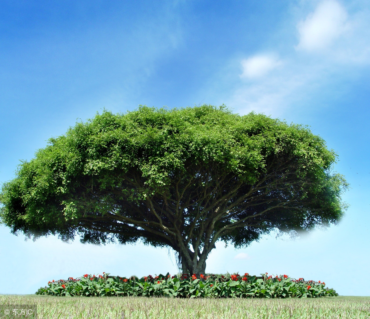 华晨宇好听的几首歌,华晨宇最好听的几首歌