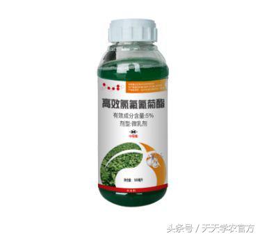 下雨后果园怎么防病虫害,雨季果树怎么防治病害