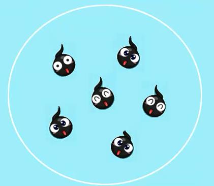 数据结构与算法的基本概念,数据结构与算法概论