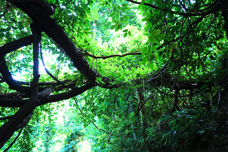 杭州西湖竹涧庭民宿踏春之旅,杭州民宿客栈里的美景攻略