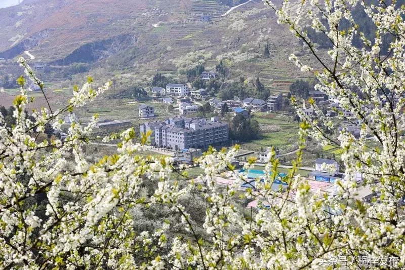 贵州桐梓县好玩的,好玩的地方桐梓