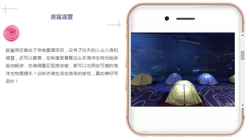 珠海长隆海洋王国澳门香港游,珠海长隆海洋王国表演节目时间表