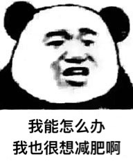 我能怎么办我也很想睡啊,想找个对象减肥