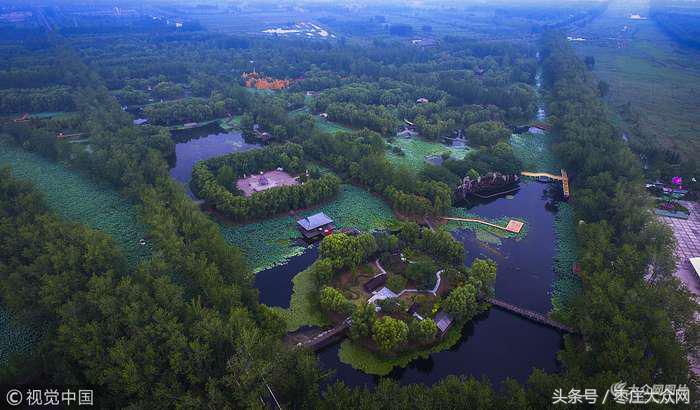 红荷湿地微山湖八月份还有荷花吗,山东微山湖红荷湿地公园荷花