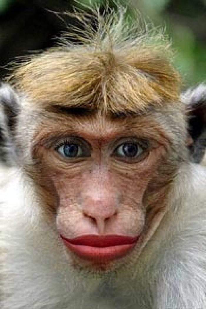 一位教授给孩子批改作业,一个老师给学生发试卷