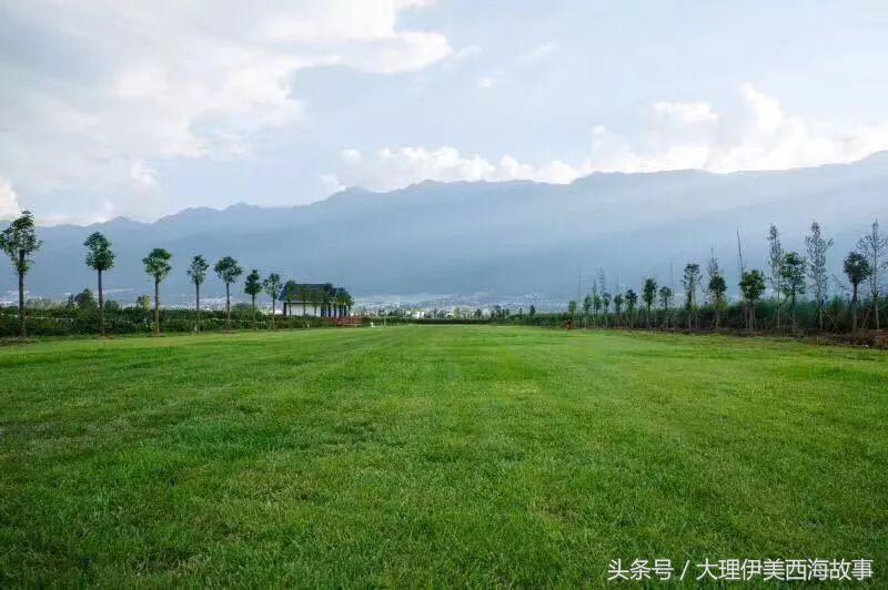 深山电子音乐节吃喝玩乐+野格+抖音区指南!预售票即将停止发售