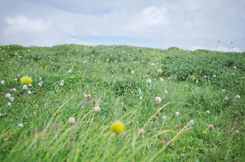 鳌太轻量化装备,夏季鳌太装备